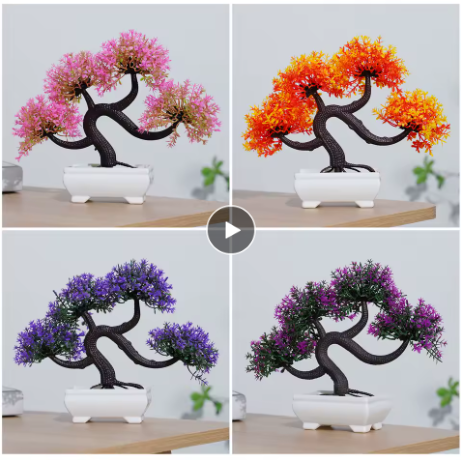 Verdant Bonsai Tree Pot
